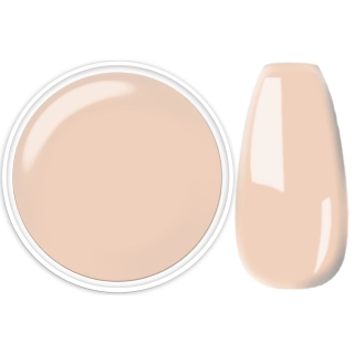 N+M PREMIUM-Farbgel 5ml "LILLYBETH" Nude-Ton. Deckend, kein Aufrühren, für Pinselmalerei geeignet. UV und LED