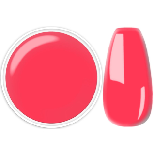 N+M SUPREME-Farbgel 5g "CARNATION-PINK" Deckend, kein Aufrühren, untereinander mischbar. UV, CCFL und LED