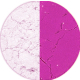 1 Dose PHOTOCHROMIC-Pigment 1g ++FARBWAHL++ Sonnenlicht-FARBWECHSEL-Pigment