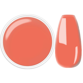 Neon-Pastell-CORAL