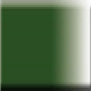 #NAT-140 FOREST-GREEN